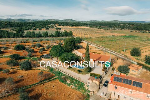 Landejendom i Les Useras, Castellon, Les Useras - € 365.000 | Ref: 918 - foto 6